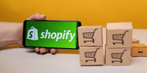 khái niệm shopify là gì - các mô hình kiếm trên trên shopify