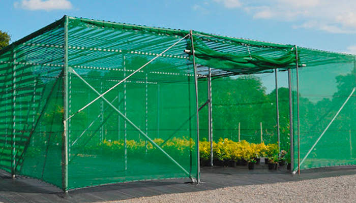 Mô hình nhà lưới trồng rau hở