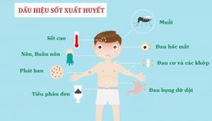 Dấu hiệu nhận biết bệnh sốt xuất huyết ở người lớn