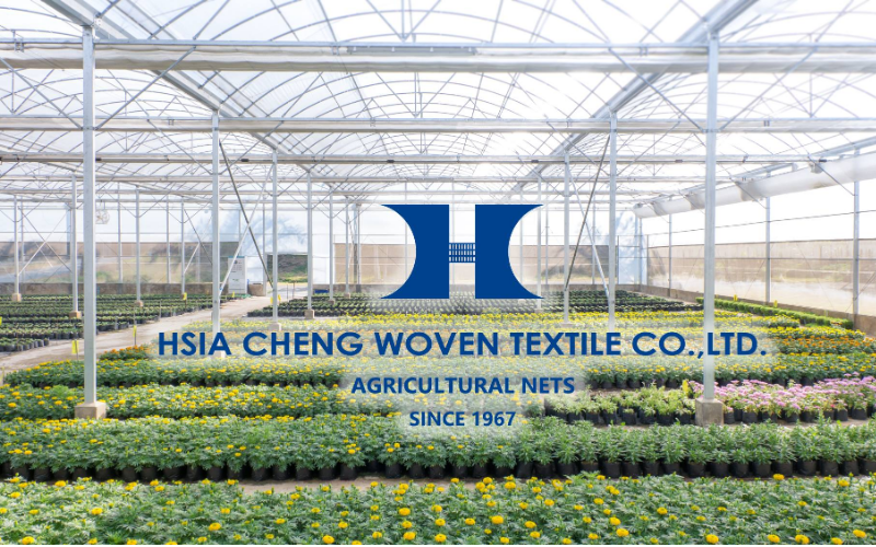 Công ty Hsia Cheng