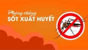 Một số biện pháp phòng ngừa bệnh sốt xuất huyết