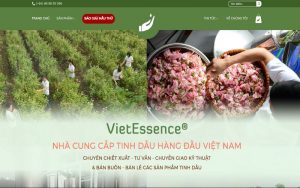 công ty tinh dầu Hà Nội Vipsen