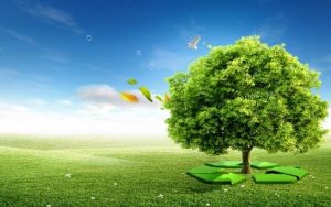 dịch vụ tư vấn môi trường thành công