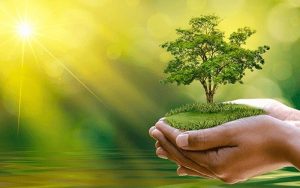 dịch vụ tư vấn môi trường tấn cường