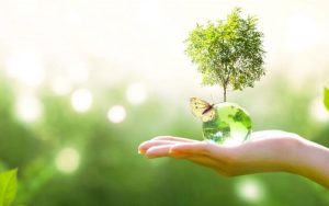 thế nào là dịch vụ tư vấn môi trường