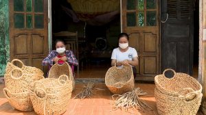 các hoạt động tại địa phương