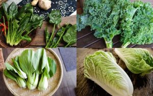 các loại rau cải