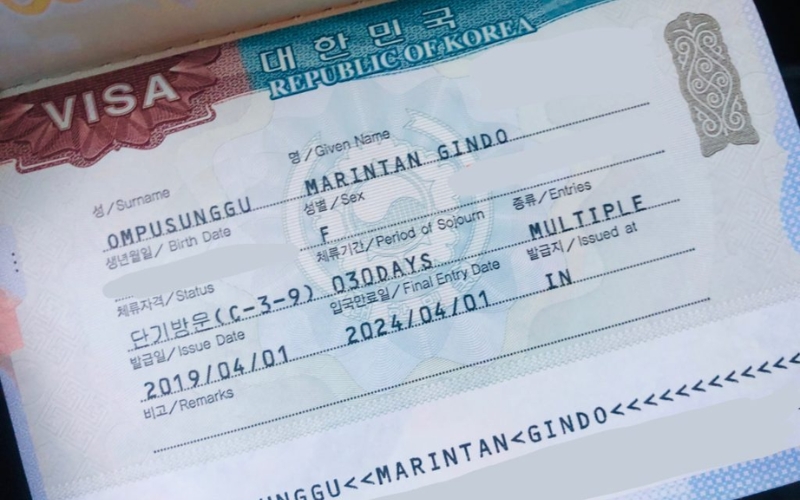 visa du học Hàn Quốc D2