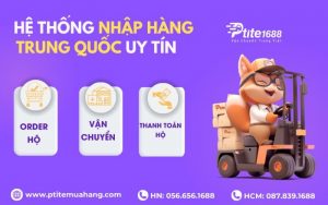 đơn vị order hàng trung quốc uy tín Ptite
