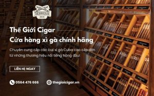 Cửa hàng xì gà chính hãng Thế Giới Cigar
