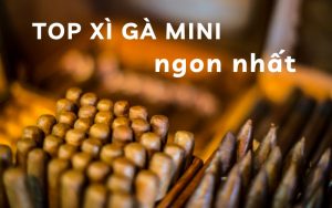 top xì gà mini ngon nhất