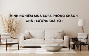 kinh nghiệm mua sofa phòng khách