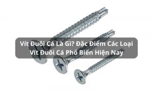 vít đuôi cá là gì